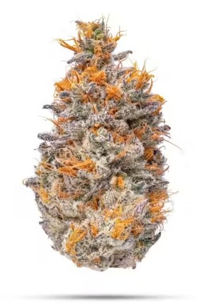 Artificial Red | 7g
