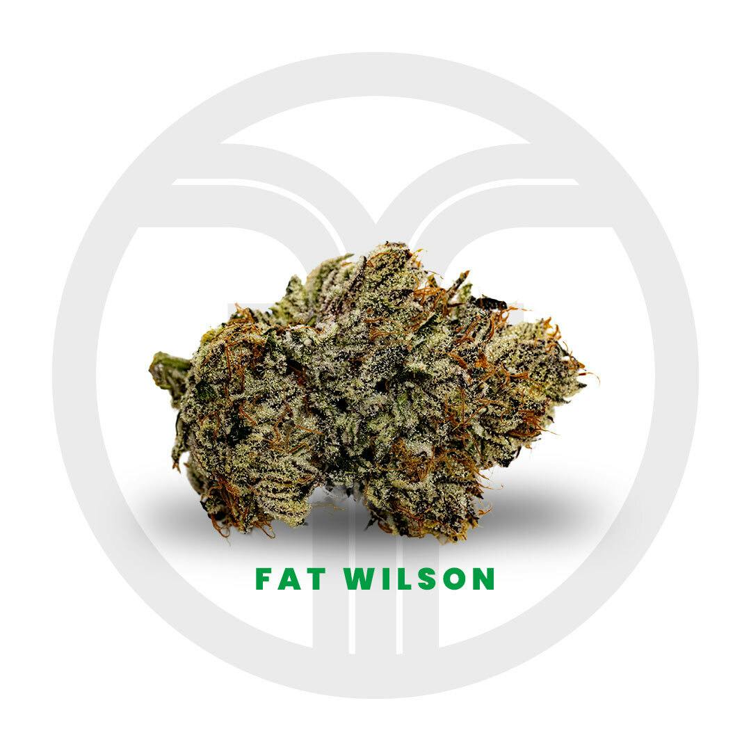 FRESHY FINE | PrePackaged | Fat Wilson