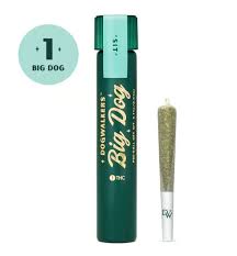 Dogwalker Big Dog | Cheddar Cheeze | 1g (Sit)