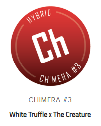 Chimera #3 Batter Indica Hybrid
