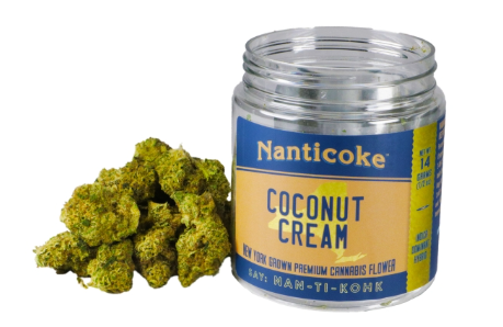 Nanticoke Coconut Cream Flower (IH)