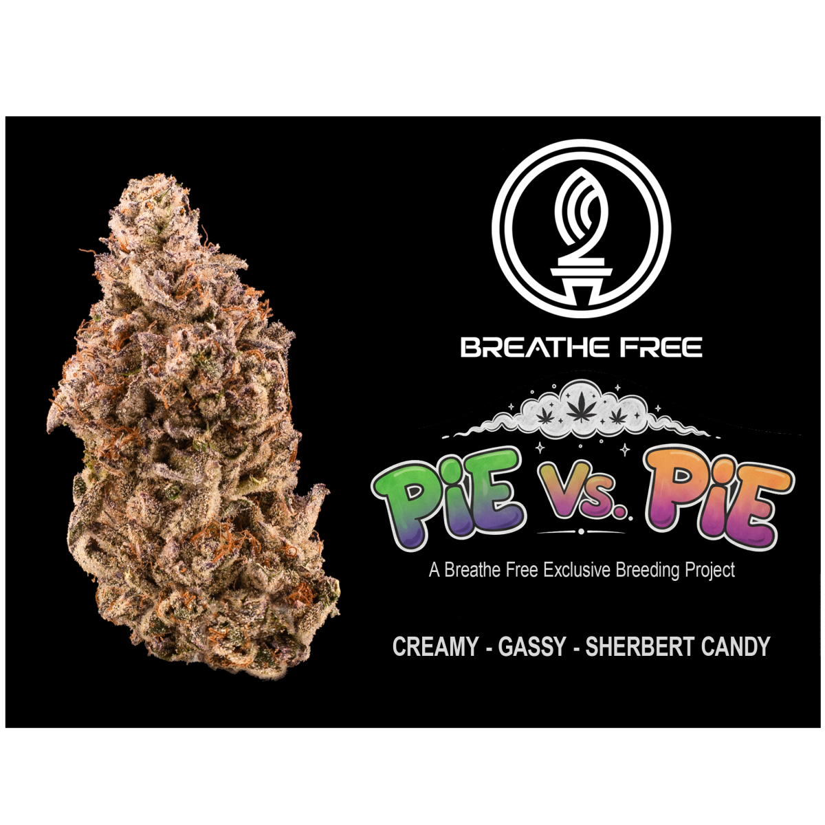 Pie Vs