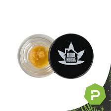 Bow House Cured Badder | Gas Runtz