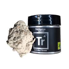 White Oreoz Isolated Flower