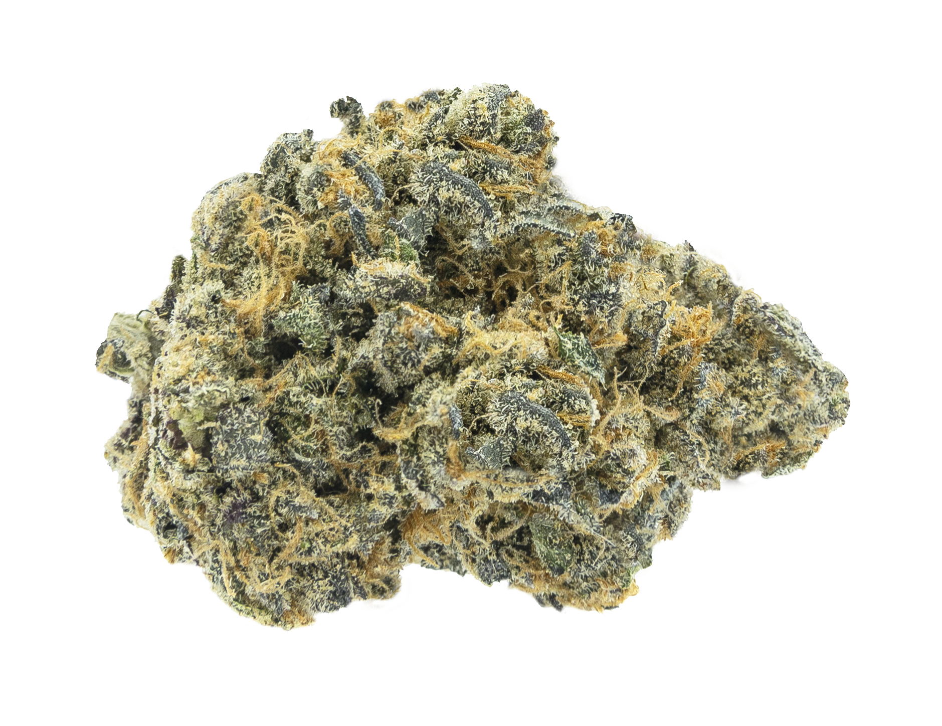 Gorilla Glue *H*
