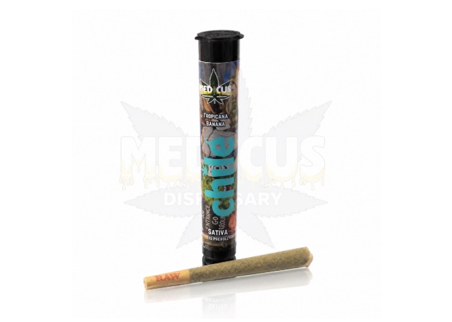 Tropicana Banana Medicus