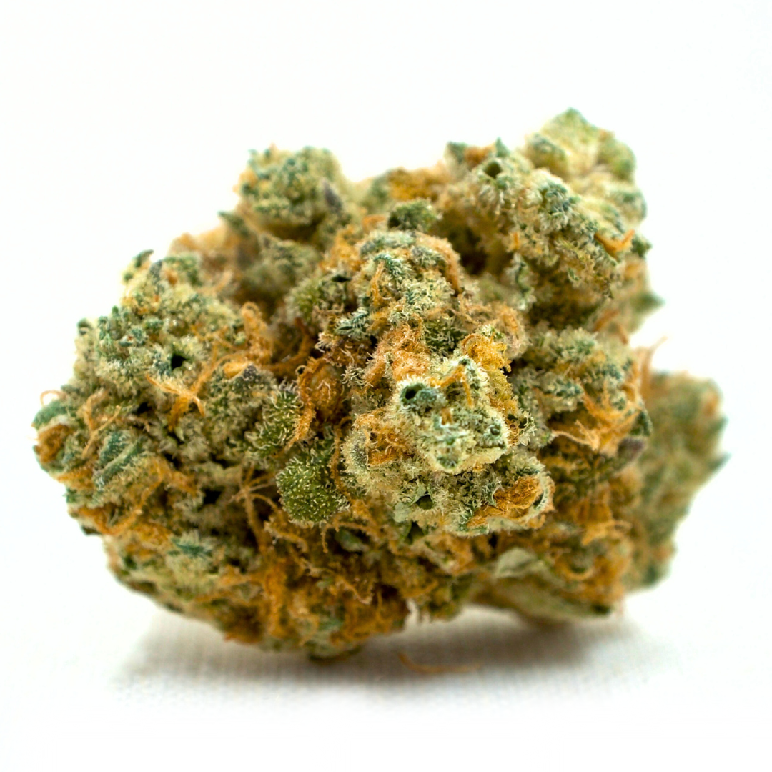 Night Terror OG | TAC 27.4%