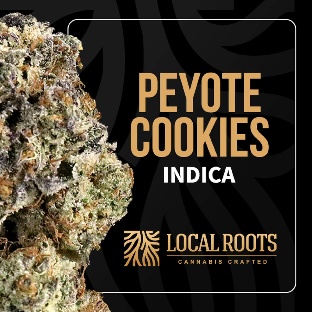Peyote Cookies | Pre Rolls