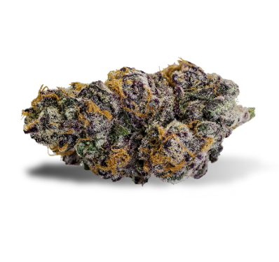 Epic Flower | WHITE TRUFFLE