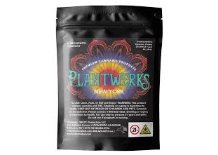 Plantwerks | Apricot OG | Hybrid | Flower