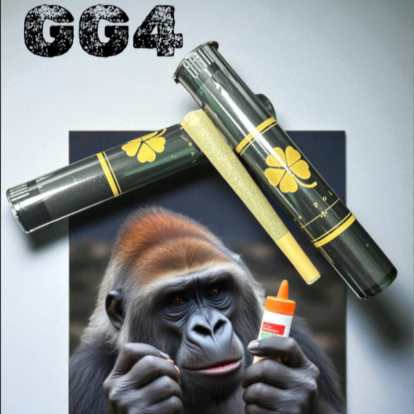 Wellcraft Point Gg4 Infused Pre