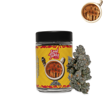Chocolatte