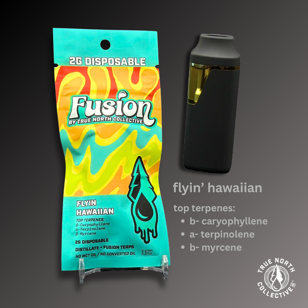 TRUE NORTH | FLYIN HAWAIIAN | HYBRID | DISPOSABLE VAPE | 2G | REC