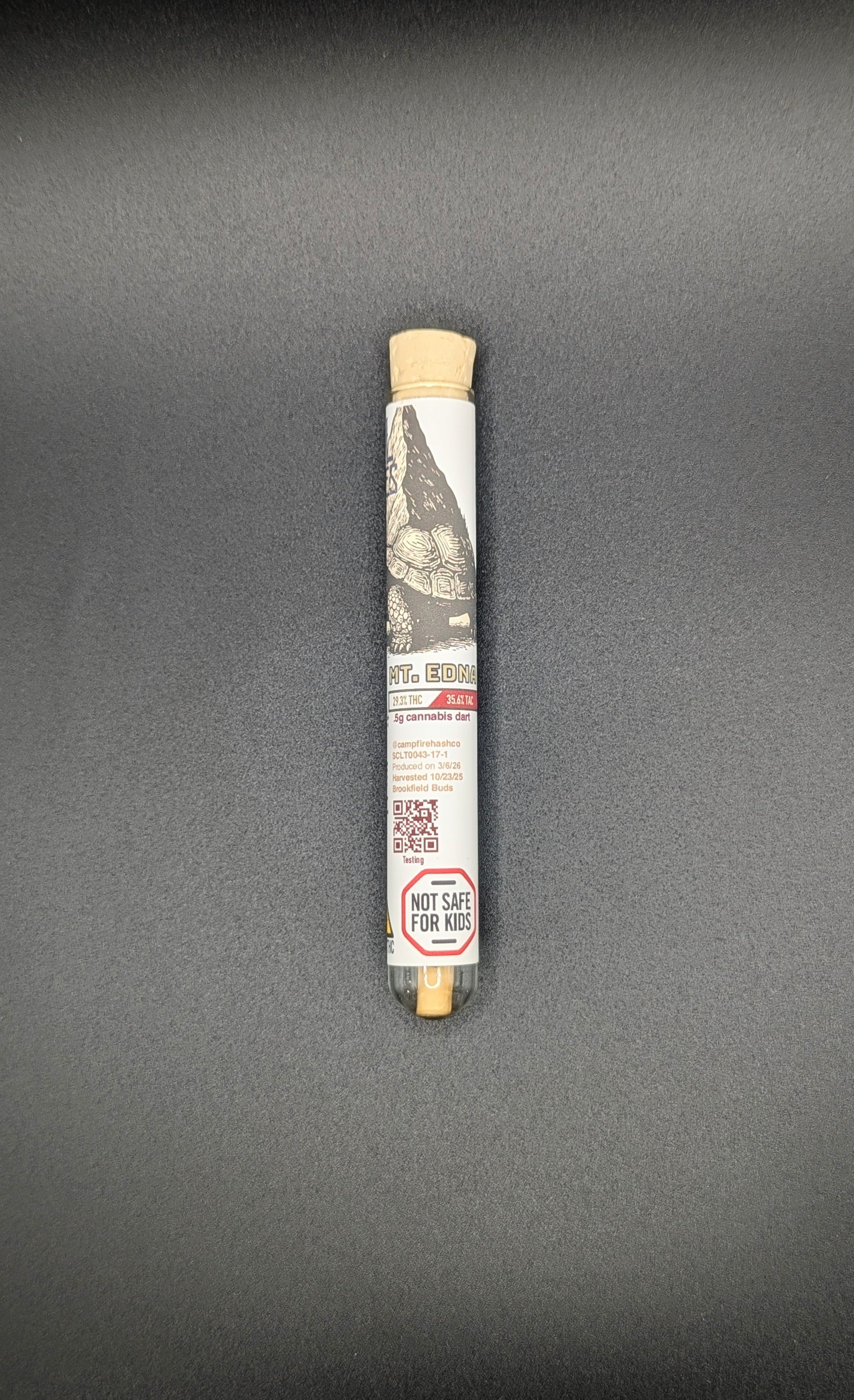 Edna Lit Buddies Pre Roll