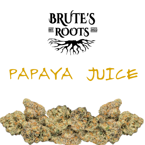 Smalls Flower - Papaya Juice  |  MED