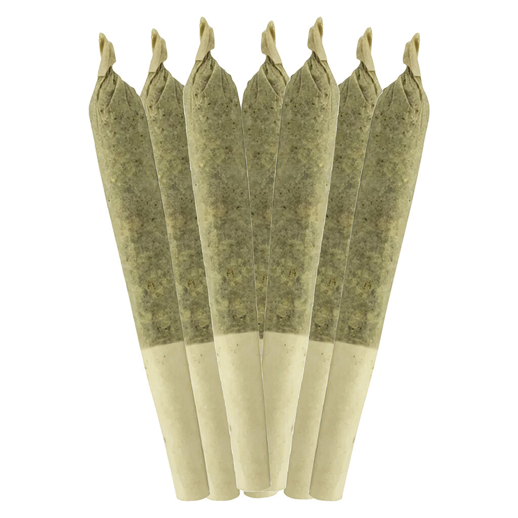 Sheeesh! - Key Lime Pie Pre-Roll - 7x0.5g