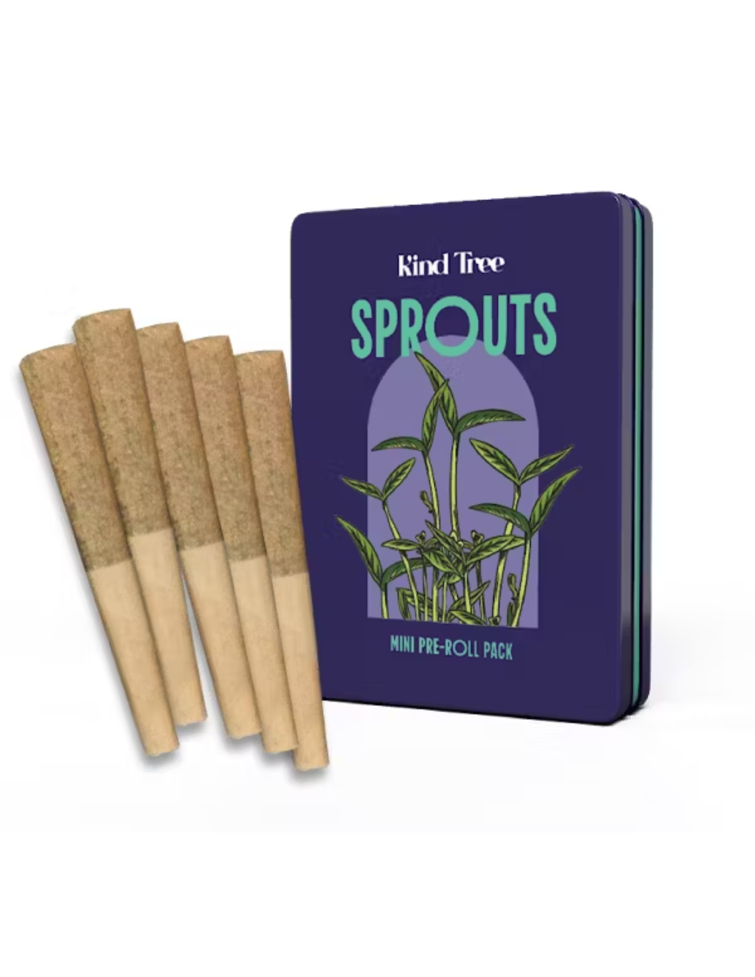 Mango Mindset Infused Multipack