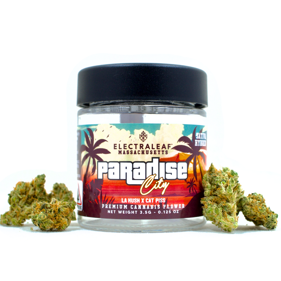 Paradise City | TAC: 28.4%