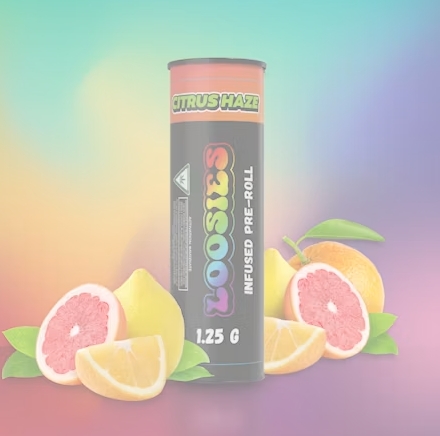 Loosies - Infused Citrus Haze Pre-Roll