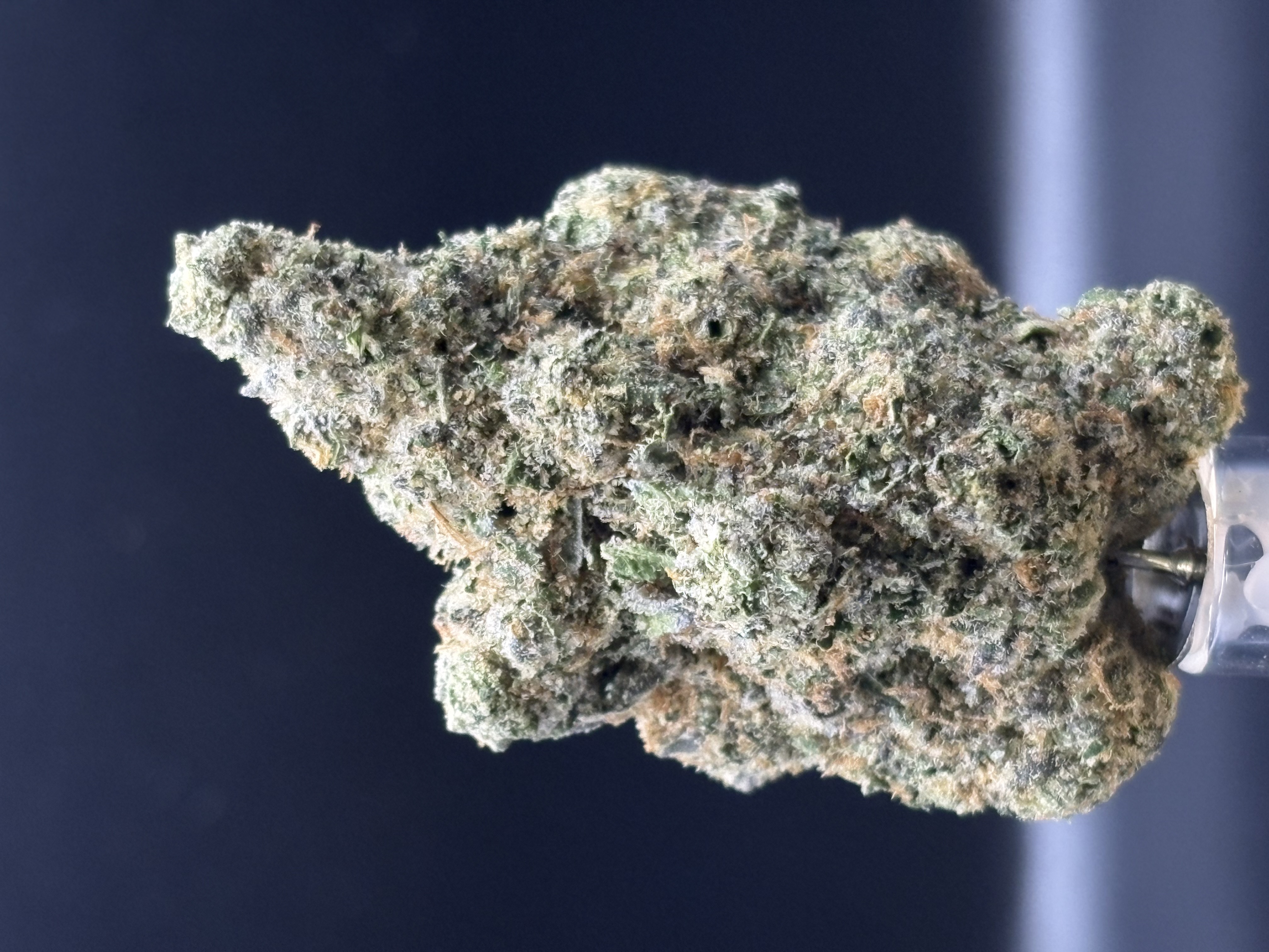 Gold Deli Bananaconda