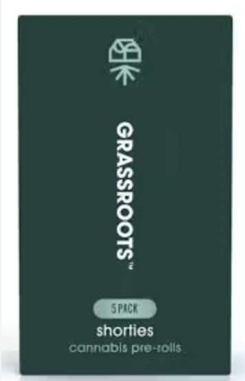 Jayna's Sunshine - 5pk - PR - H