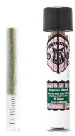 Daytona Diesel [H] - Rose Hash Jointo