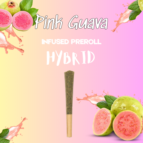 Pink Guava