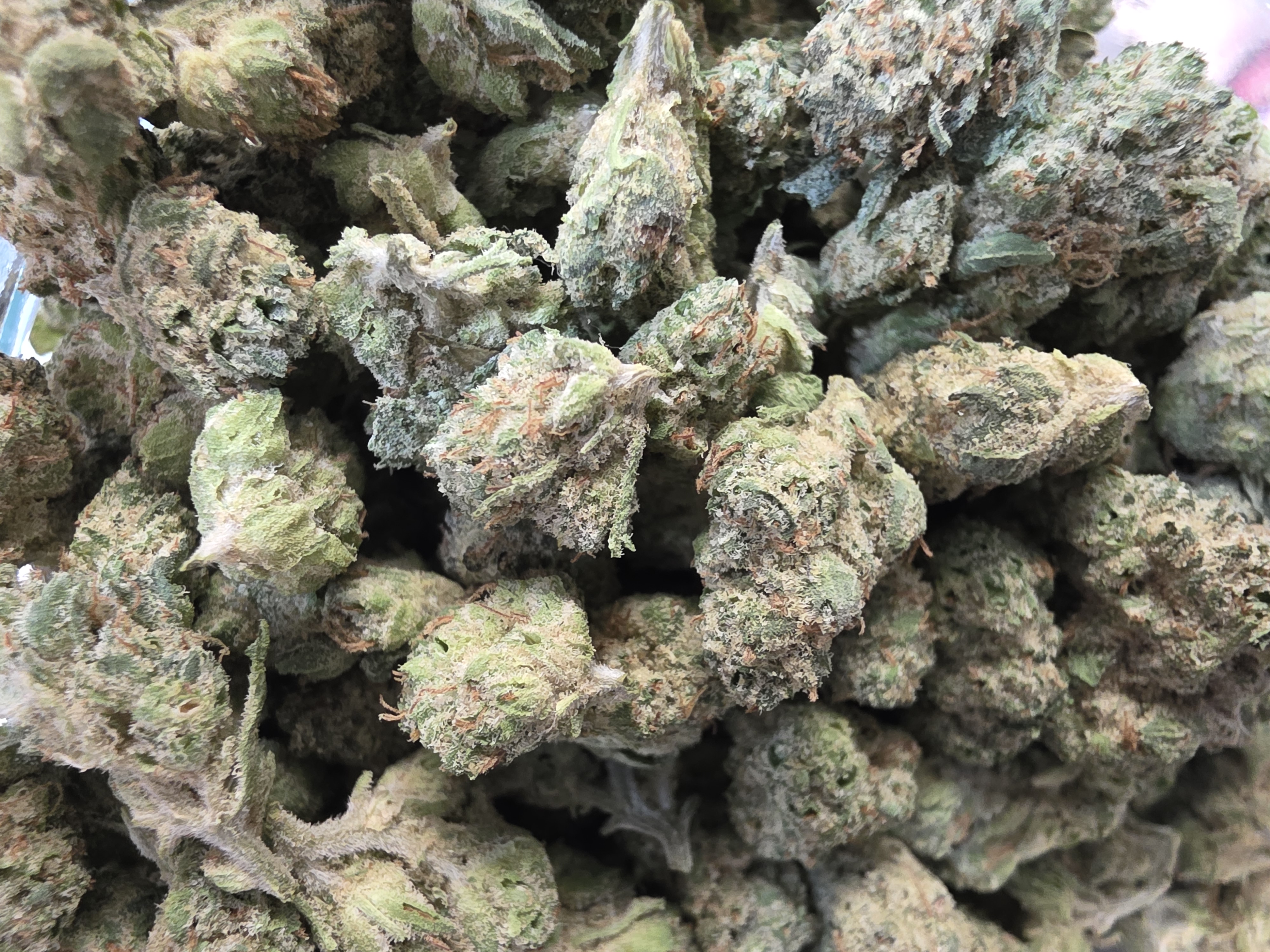 Ts Lw Capital Cream Pie