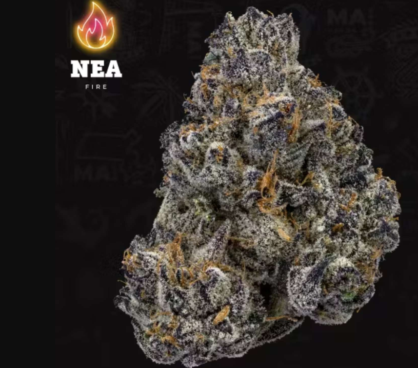 NEA | Ice Cream Cake #2 (I/H)