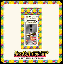 Pineapple Lock In