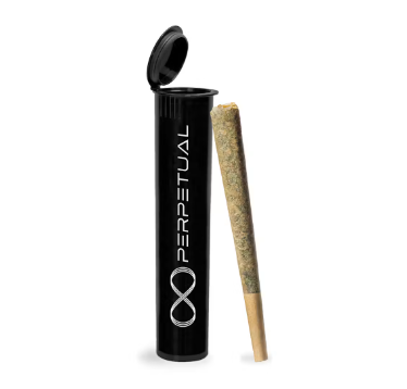 Cookie Stash (SH) - Pre-Roll (.5g) - Perpetual