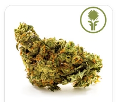 Motor Breath Flower: 3.5g