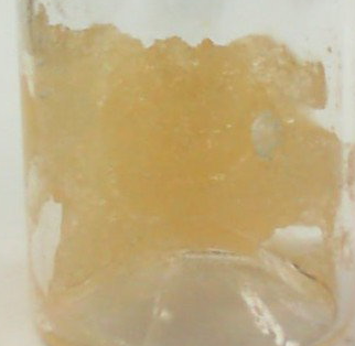 Bloom Montana (1g Badder-Cream Soda)