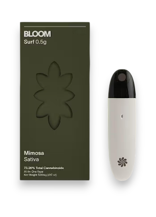 Mimosa
