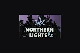 Northern Lights FX - Chocolate Bites - 200mg - S'mores
