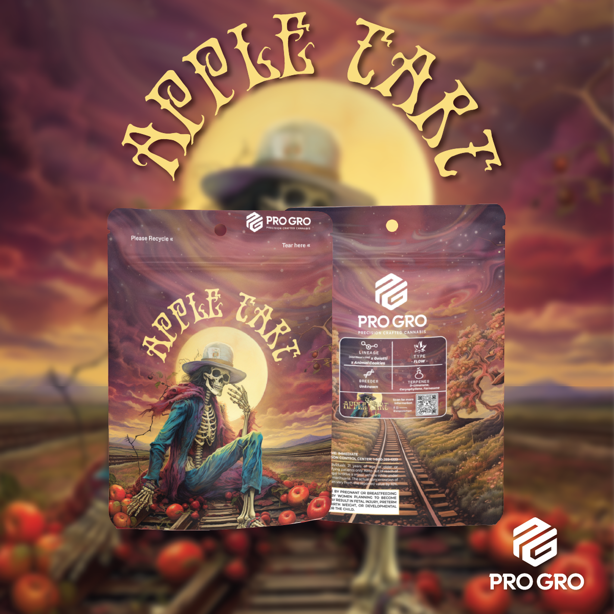 Prepackaged | Pop Roxx