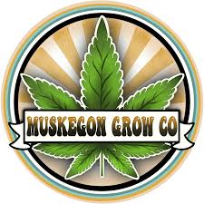 Tropicana Banana Cookies Hybrid Deli