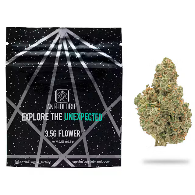 Anthologie | White Widow | 3.5g