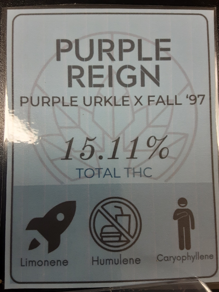 2025 Flower: Purple Reign