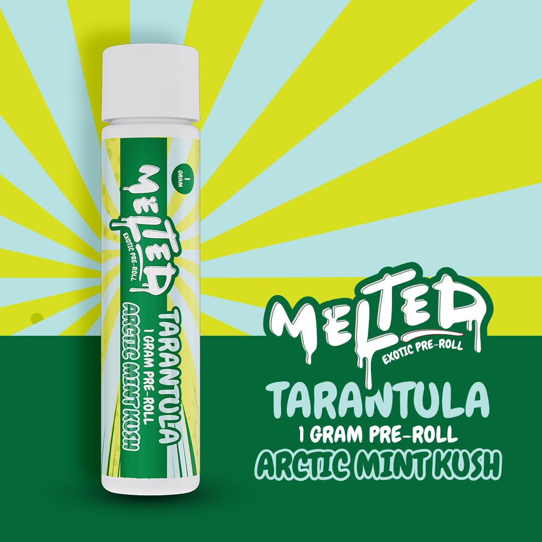 Melted | Arctic Mint Kush 1g Tarantula Preroll