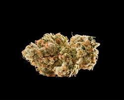 Silver Shelf Jet Fuel