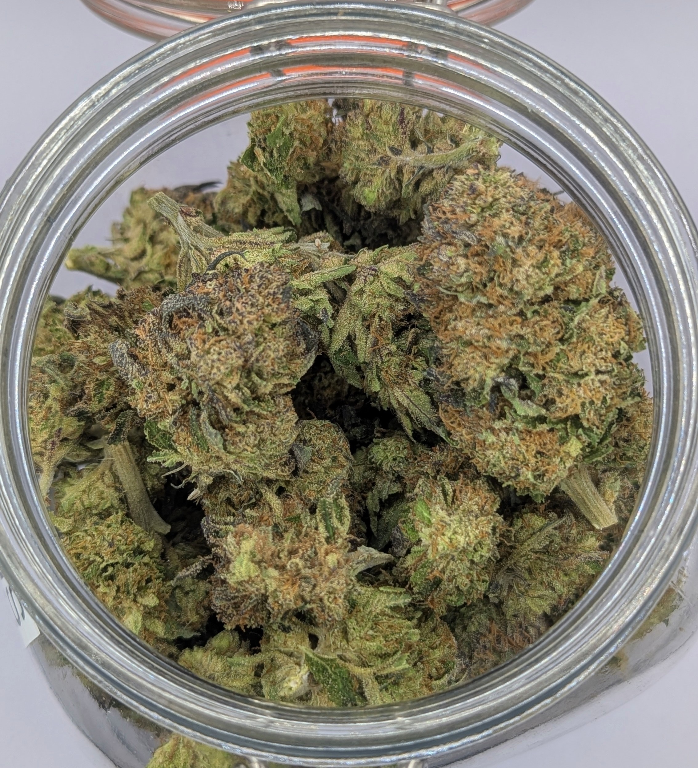 Dinger - Sun Grown Deli Flower