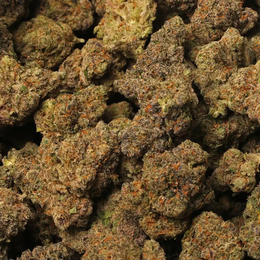 Gelato 41 Flower | 3.5g