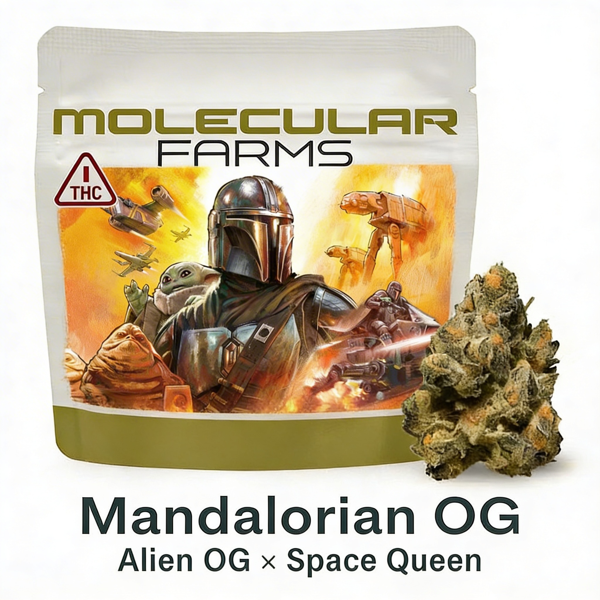 Mandalorian OG