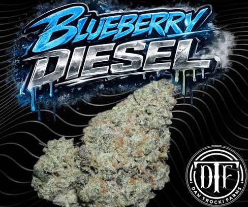 Dan Trocki Farms Blueberry Diesel