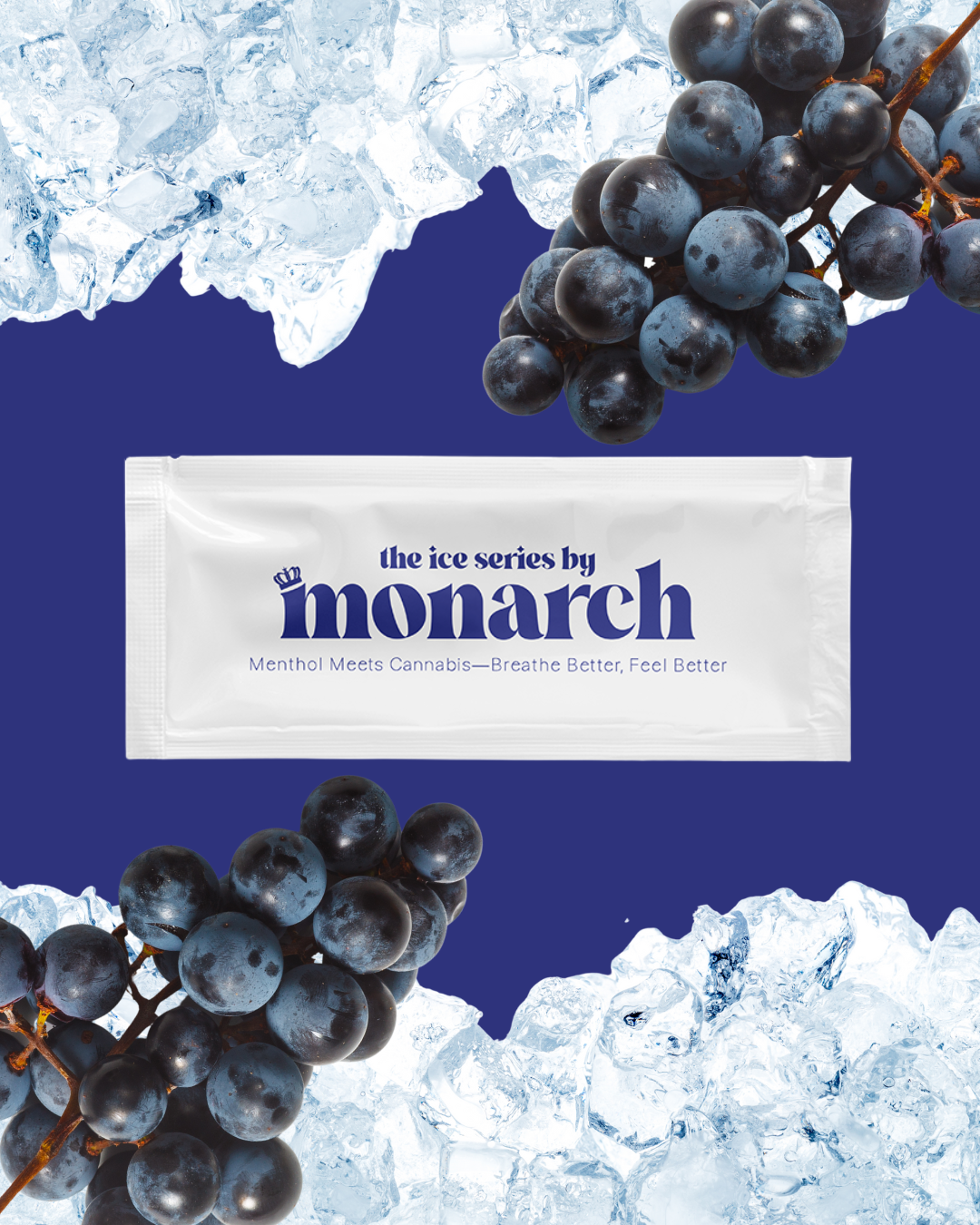 Monarch - Grape Ice Disposable Ice Series
