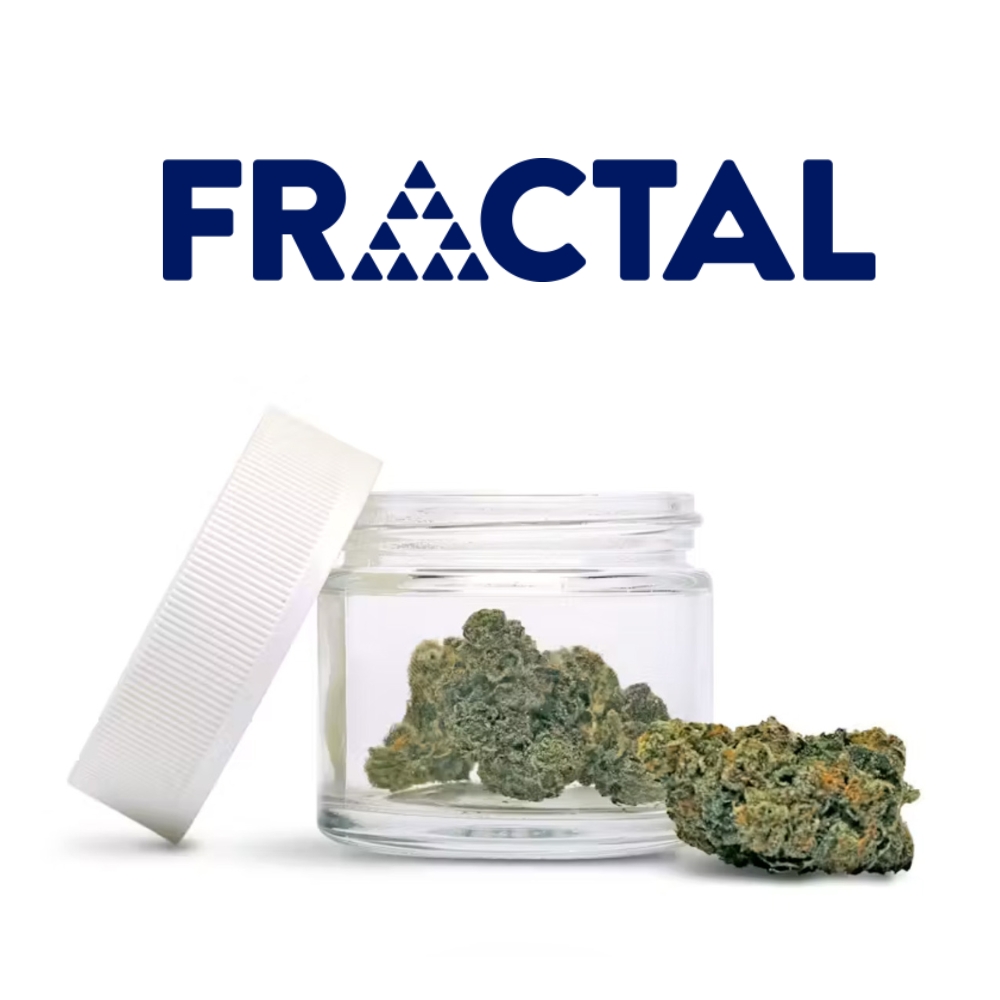Fractal | High Fructose Corn Syrup | Bulk Smalls | REC