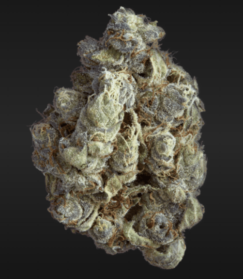 Detroit Runtz | Hybrid | Bulk Flower | Bees Knees