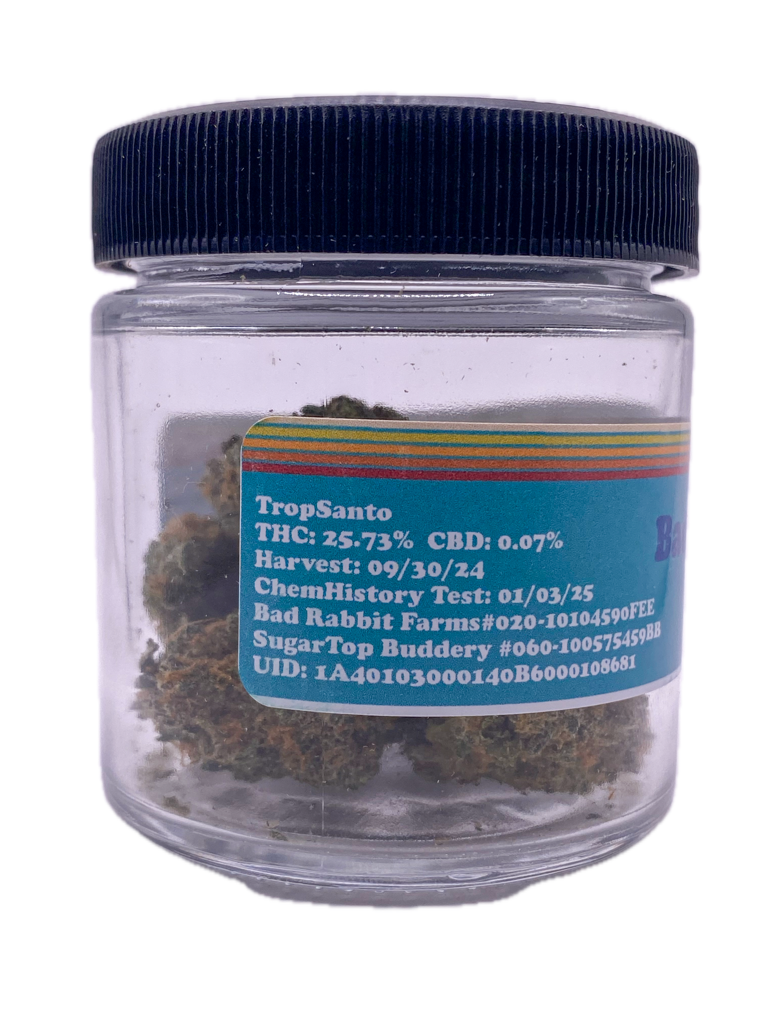 Flower Hybrid Tropsanto