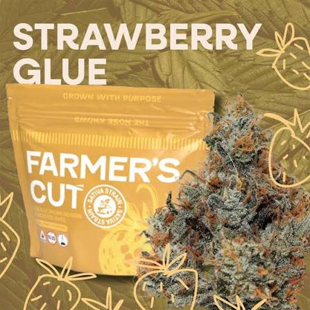 Strawberry Glue